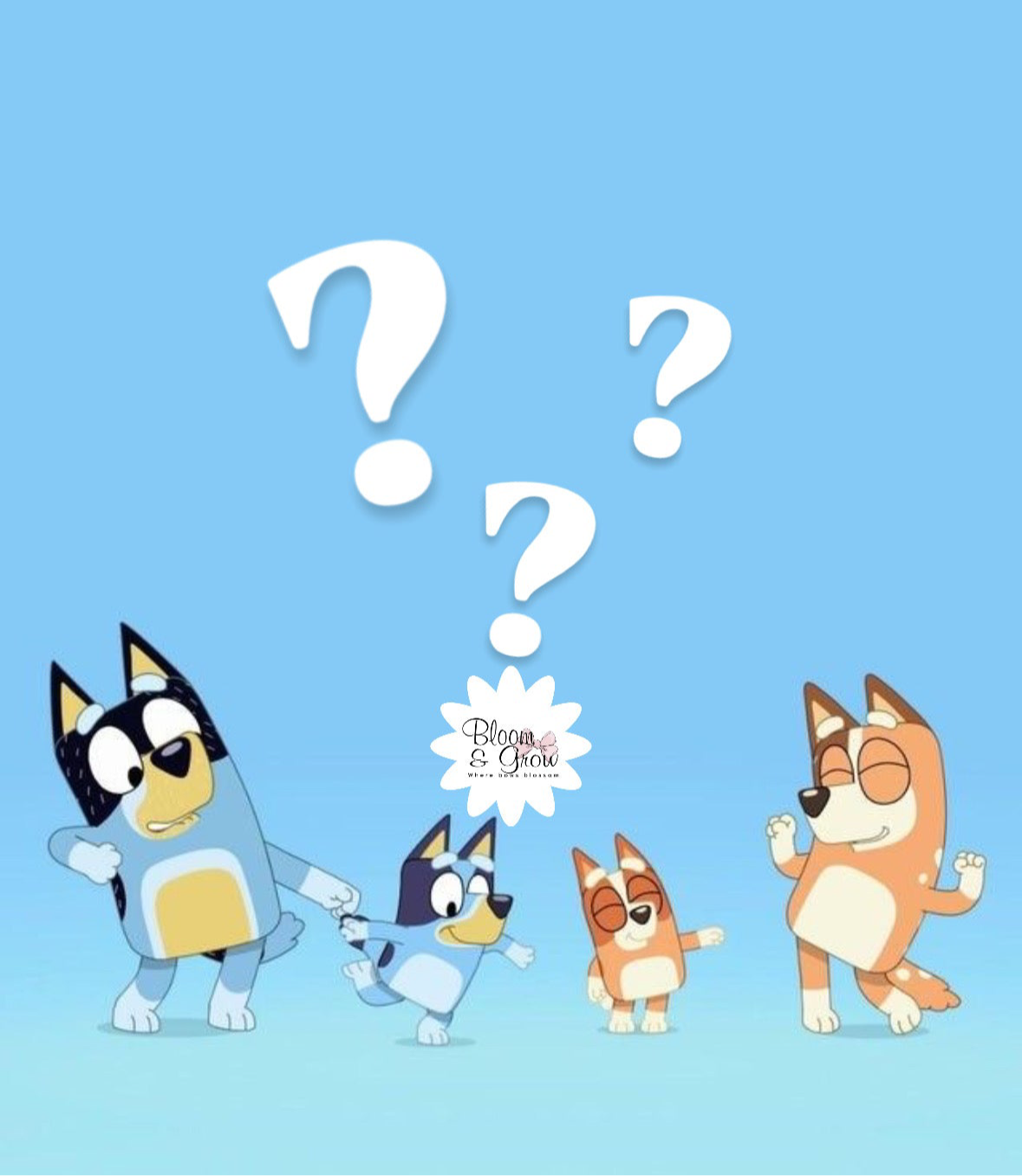 Mystery Bluey