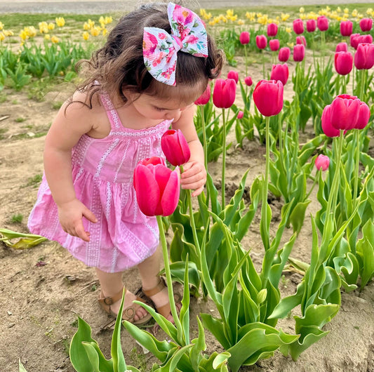 Pink Peonies