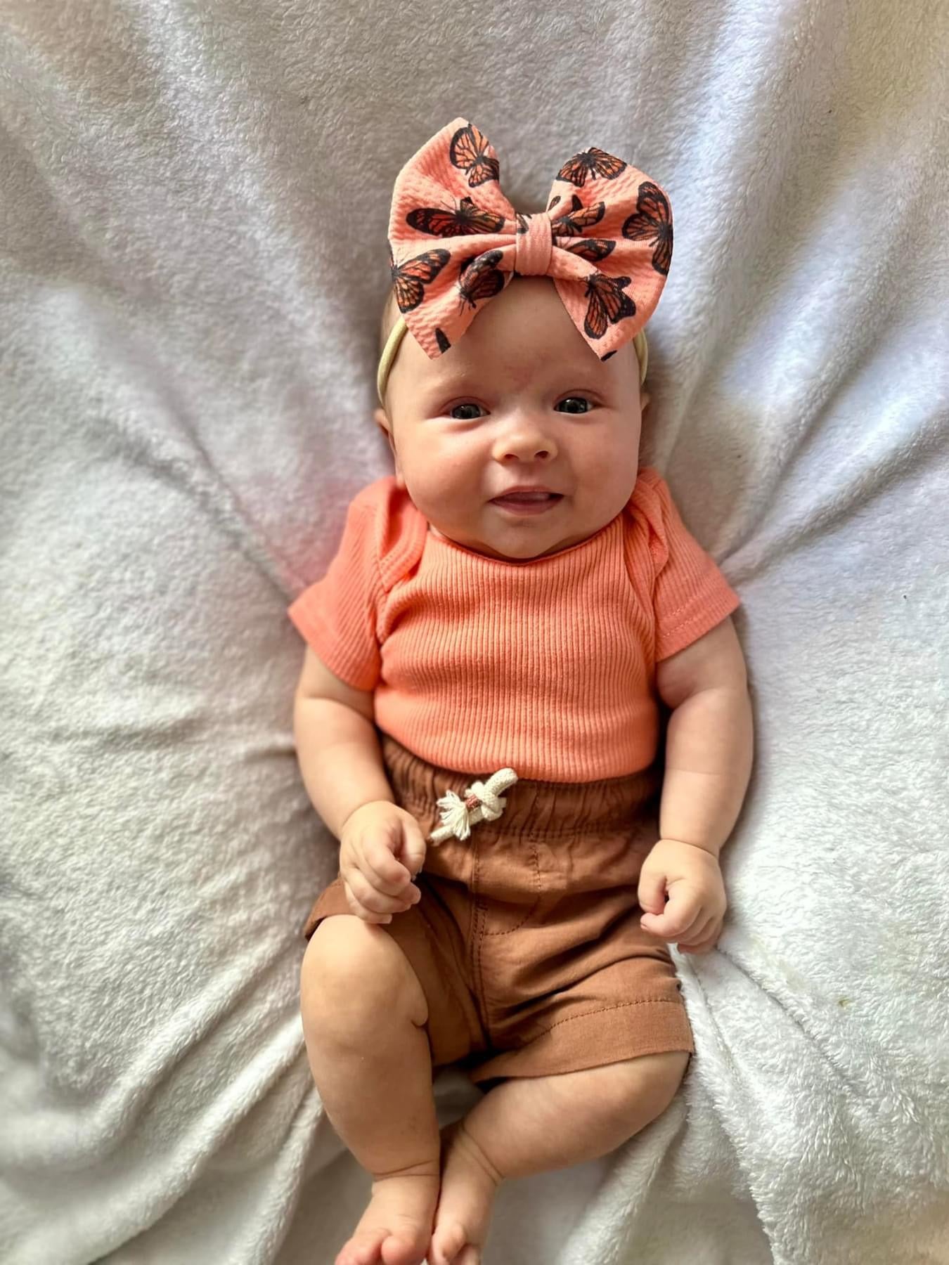 Peach Butterfly