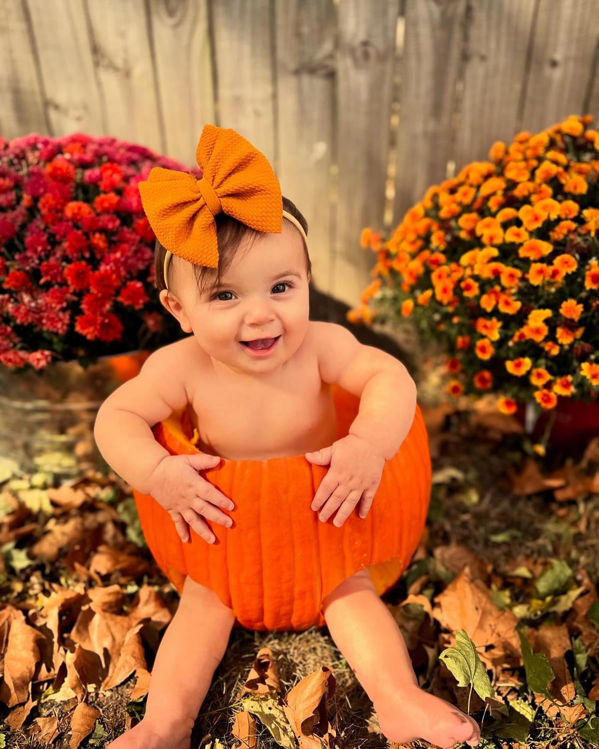 Pumpkin Pie